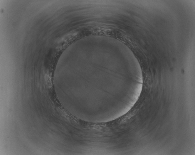 X0000081431013200702092154