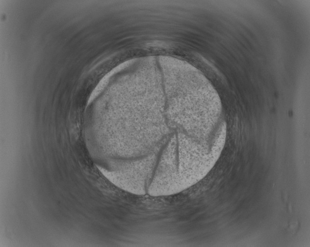 X0000081431015200702092154