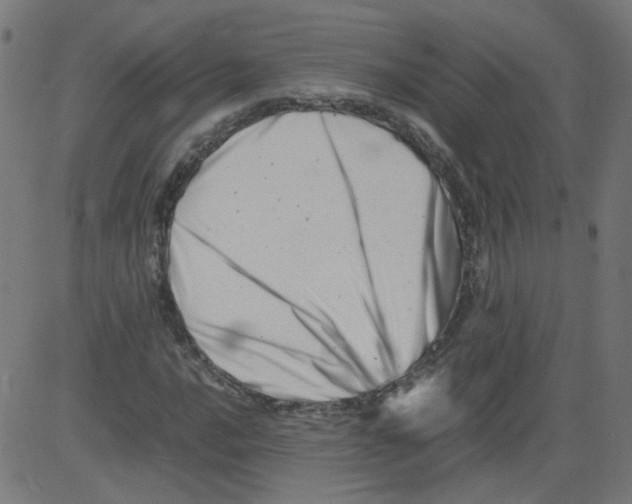 X0000081431016200702092154