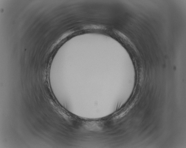 X0000081431017200702092154