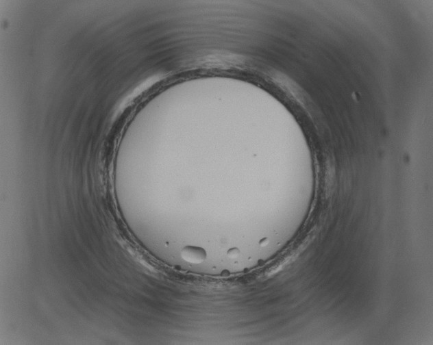 X0000081431018200702092154