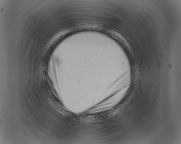 X0000081431019200702092154