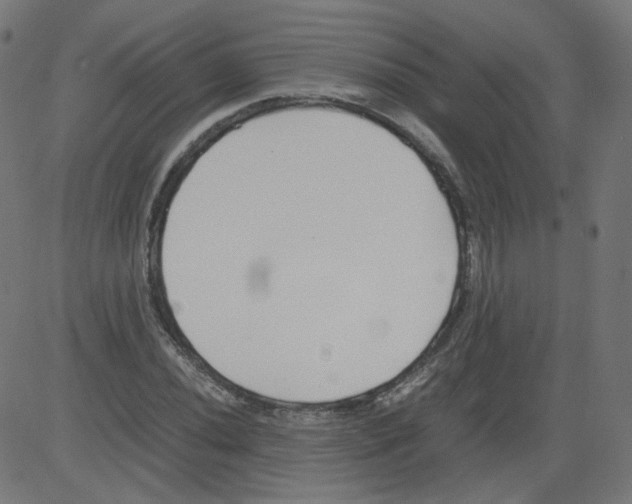 X0000081431020200702092154