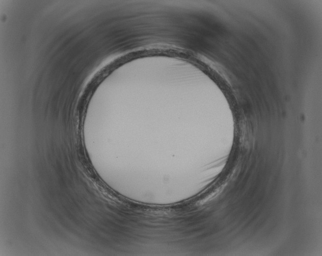 X0000081431021200702092154