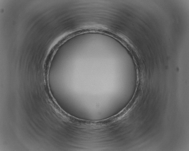 X0000081431022200702092154