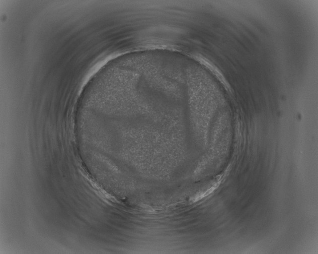 X0000081431023200702092154