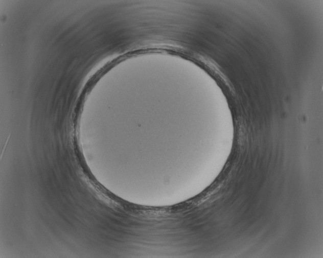 X0000081431024200702092154