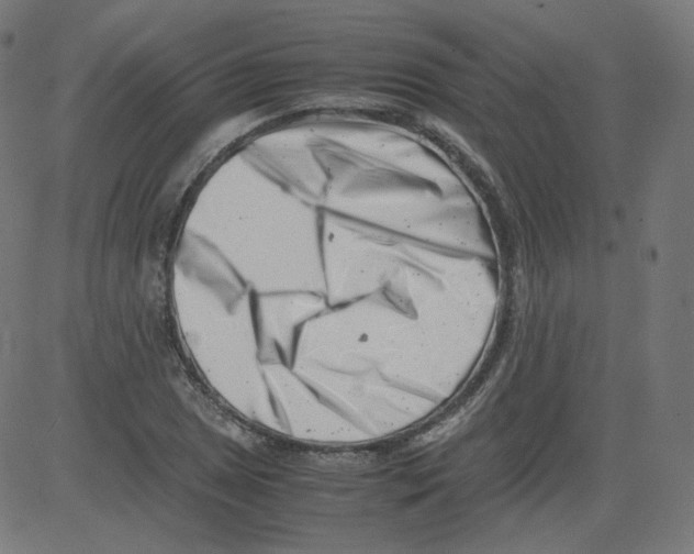 X0000081431025200702092154