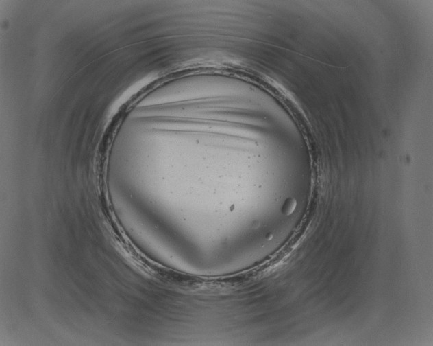 X0000081431026200702092154