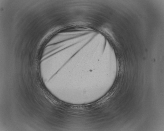 X0000081431027200702092154