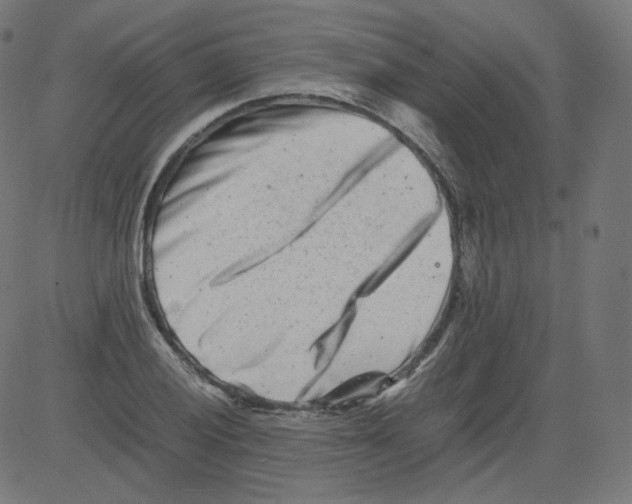 X0000081431028200702092154