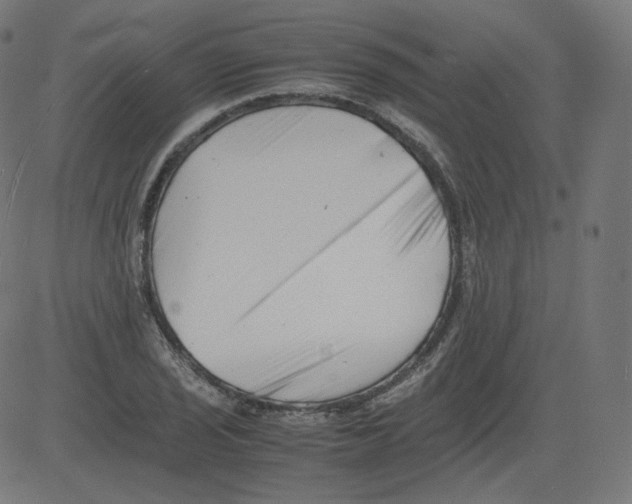 X0000081431029200702092154