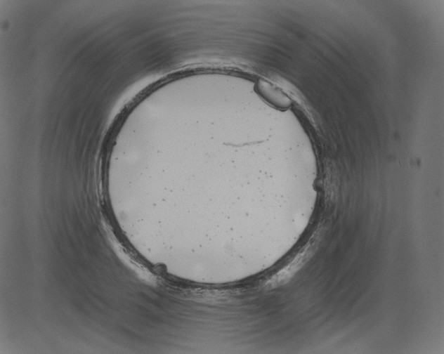 X0000081431030200702092154