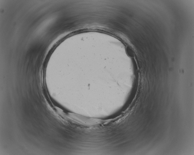 X0000081431032200702092154