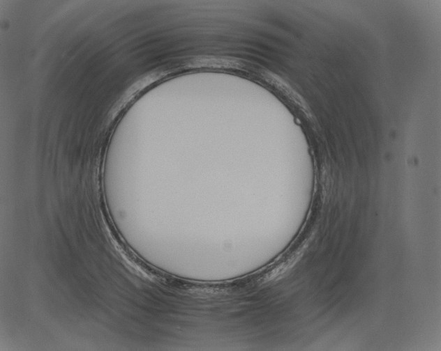 X0000081431033200702092154