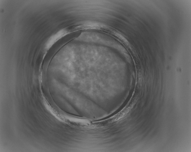 X0000081431034200702092154