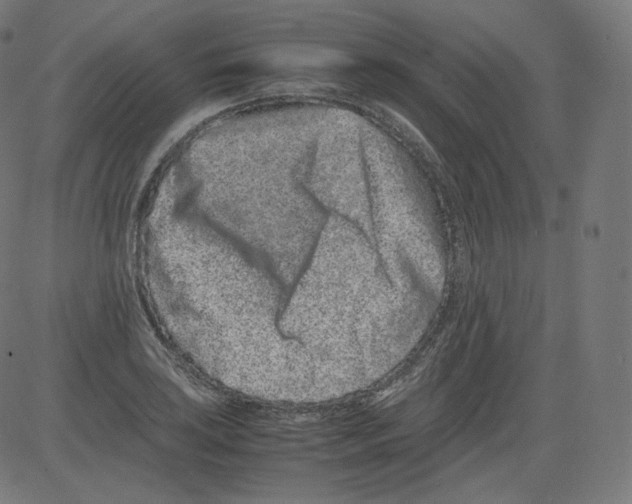 X0000081431035200702092154