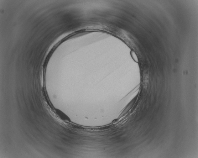 X0000081431036200702092154