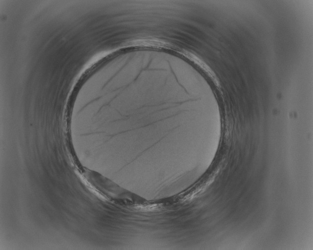 X0000081431037200702092154