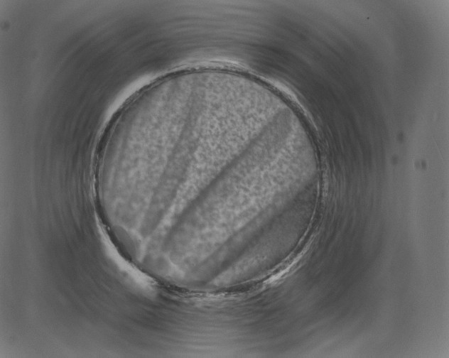 X0000081431038200702092154