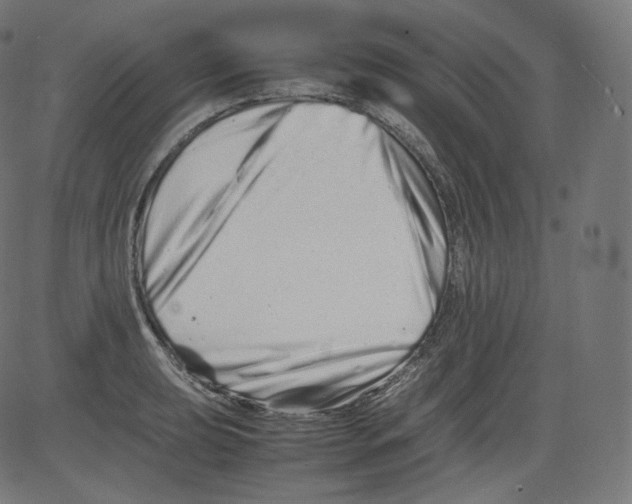 X0000081431039200702092154