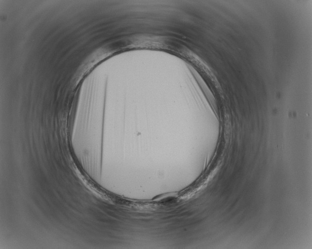 X0000081431041200702092154