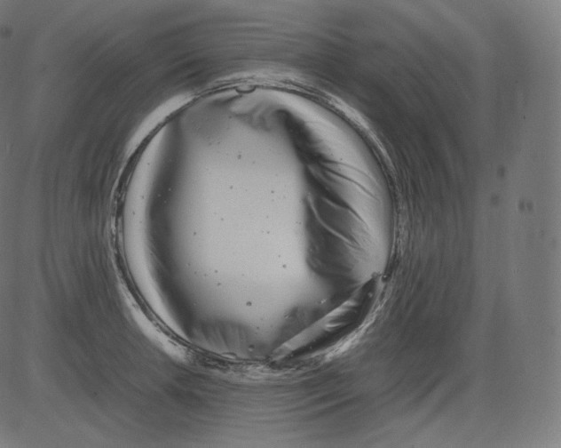 X0000081431042200702092154