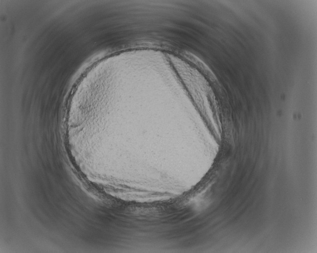 X0000081431043200702092154