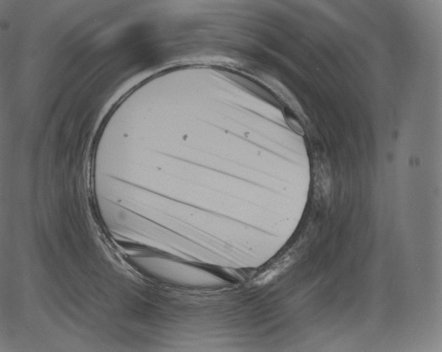 X0000081431044200702092154