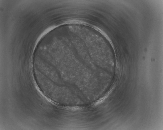 X0000081431045200702092154