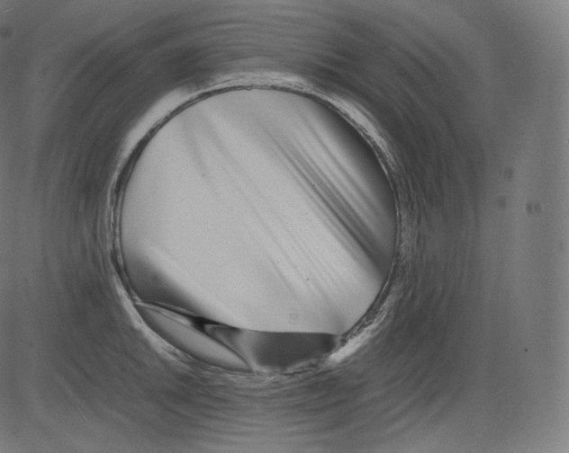 X0000081431046200702092154