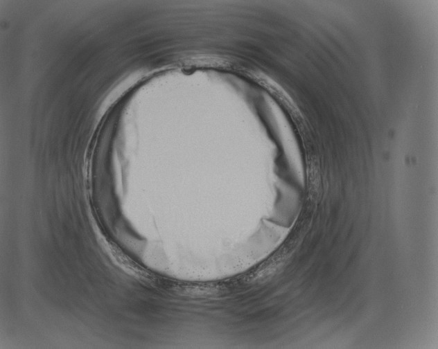 X0000081431047200702092155