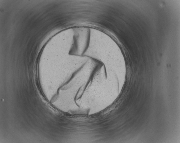 X0000081431048200702092155