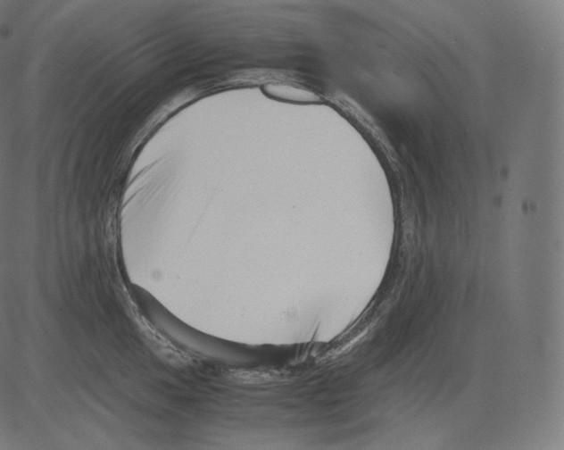 X0000081431049200702092155