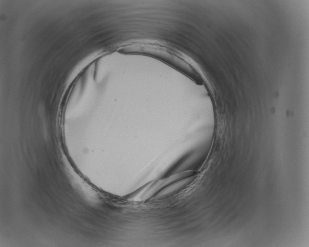 X0000081431050200702092155