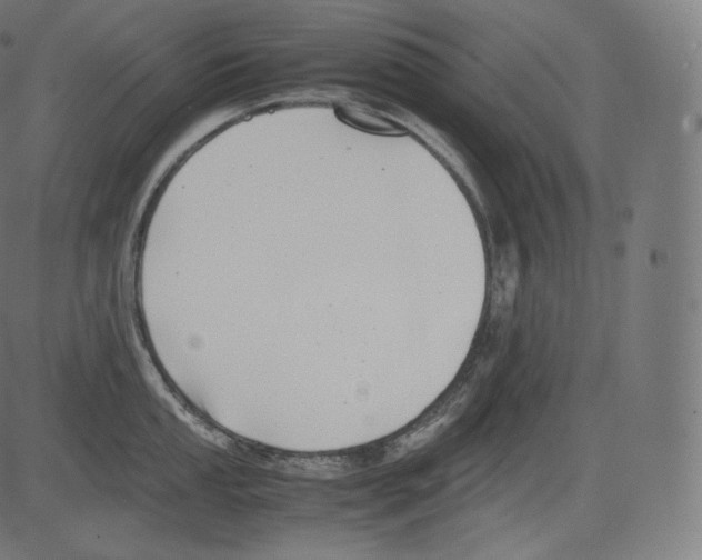 X0000081431053200702092155