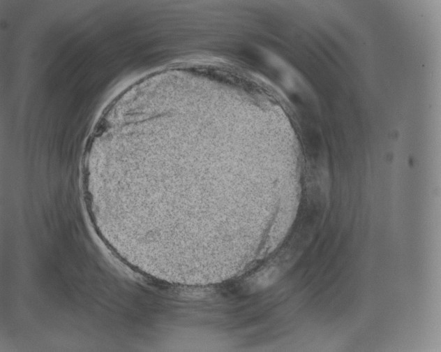 X0000081431055200702092155