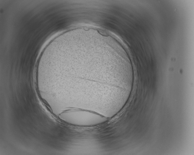 X0000081431056200702092155