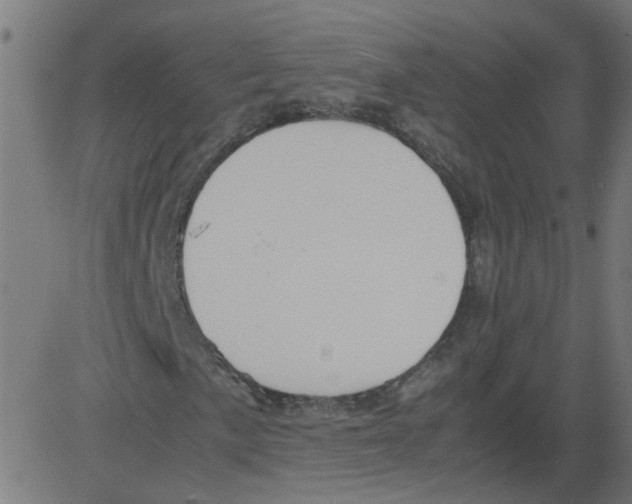 X0000081431057200702092154