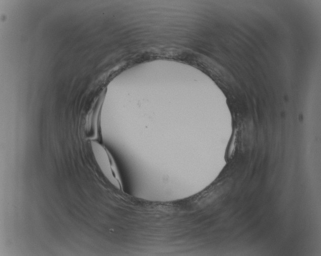 X0000081431058200702092154