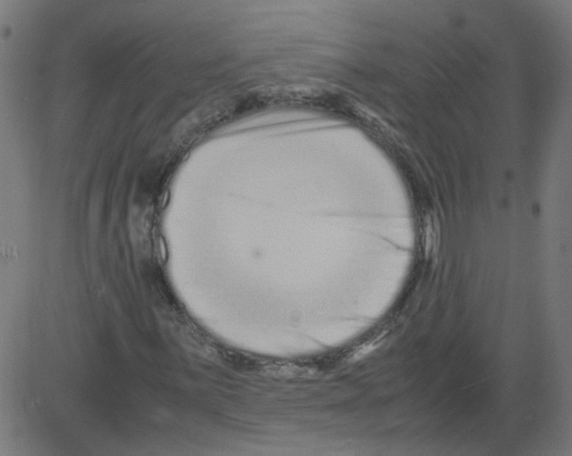 X0000081431059200702092154