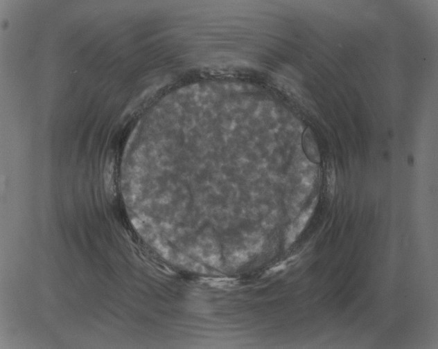 X0000081431060200702092154