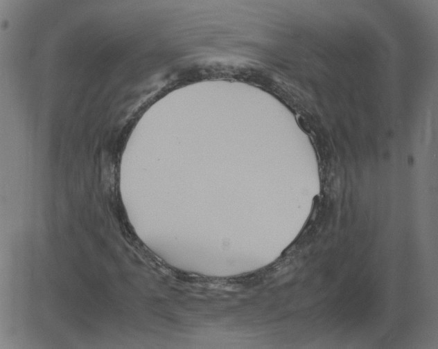 X0000081431061200702092154