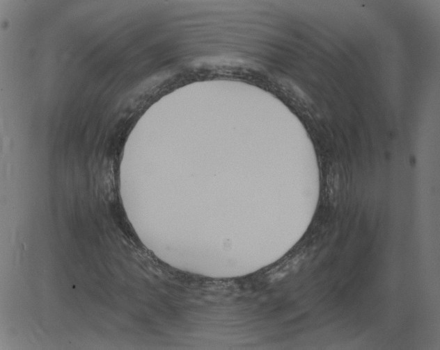 X0000081431062200702092154