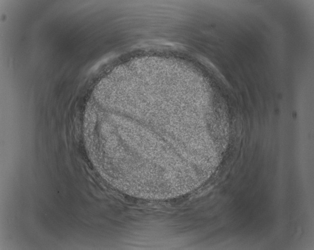 X0000081431063200702092154