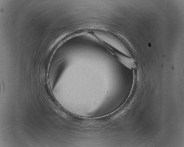 X0000081431065200702092154