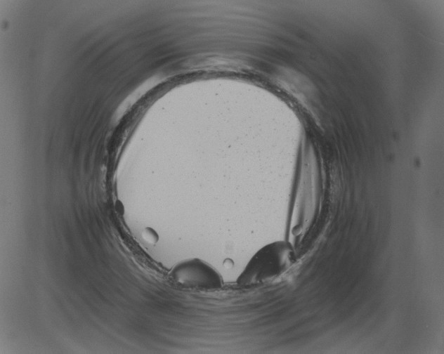 X0000081431066200702092154