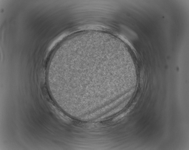 X0000081431067200702092154