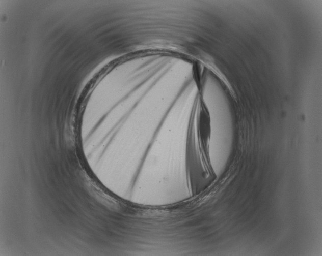 X0000081431068200702092154