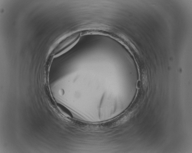 X0000081431069200702092154